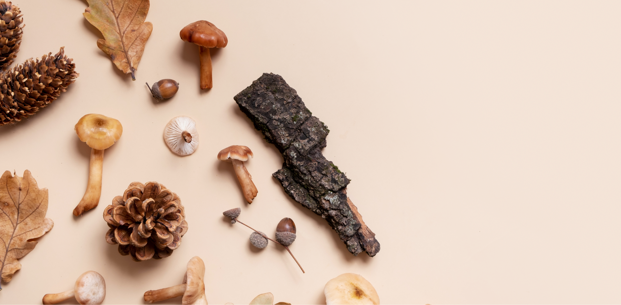 Aromas no Vinho: Guia Prático