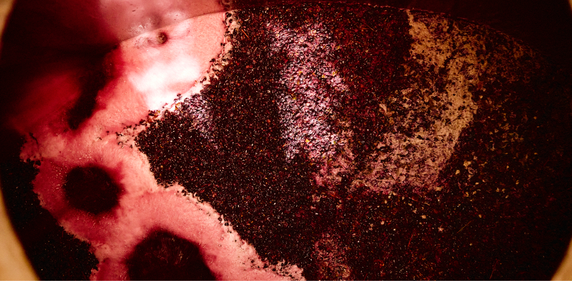 wine-fermentation
