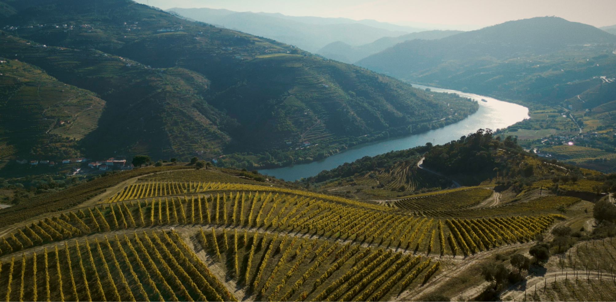 O Douro à Mesa: Dois Terroirs, Duas Experiências Gastronómicas