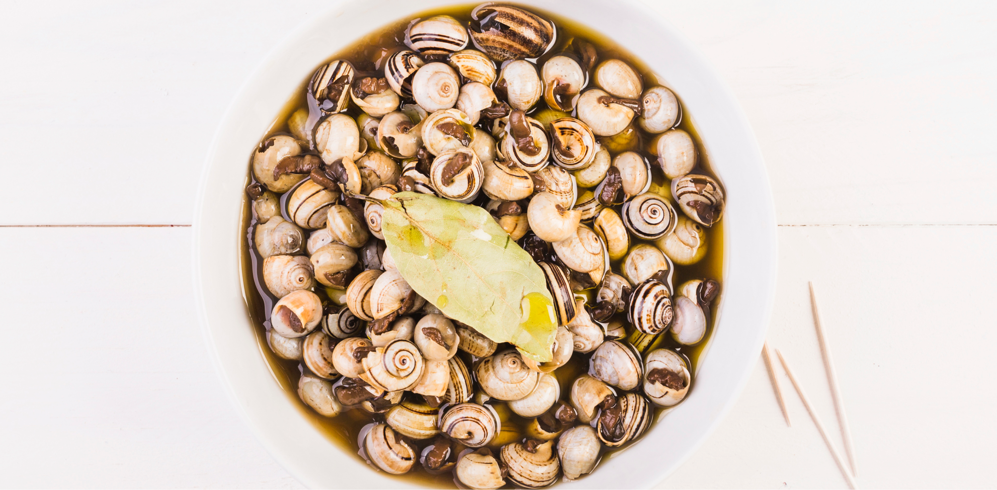 wine and snails