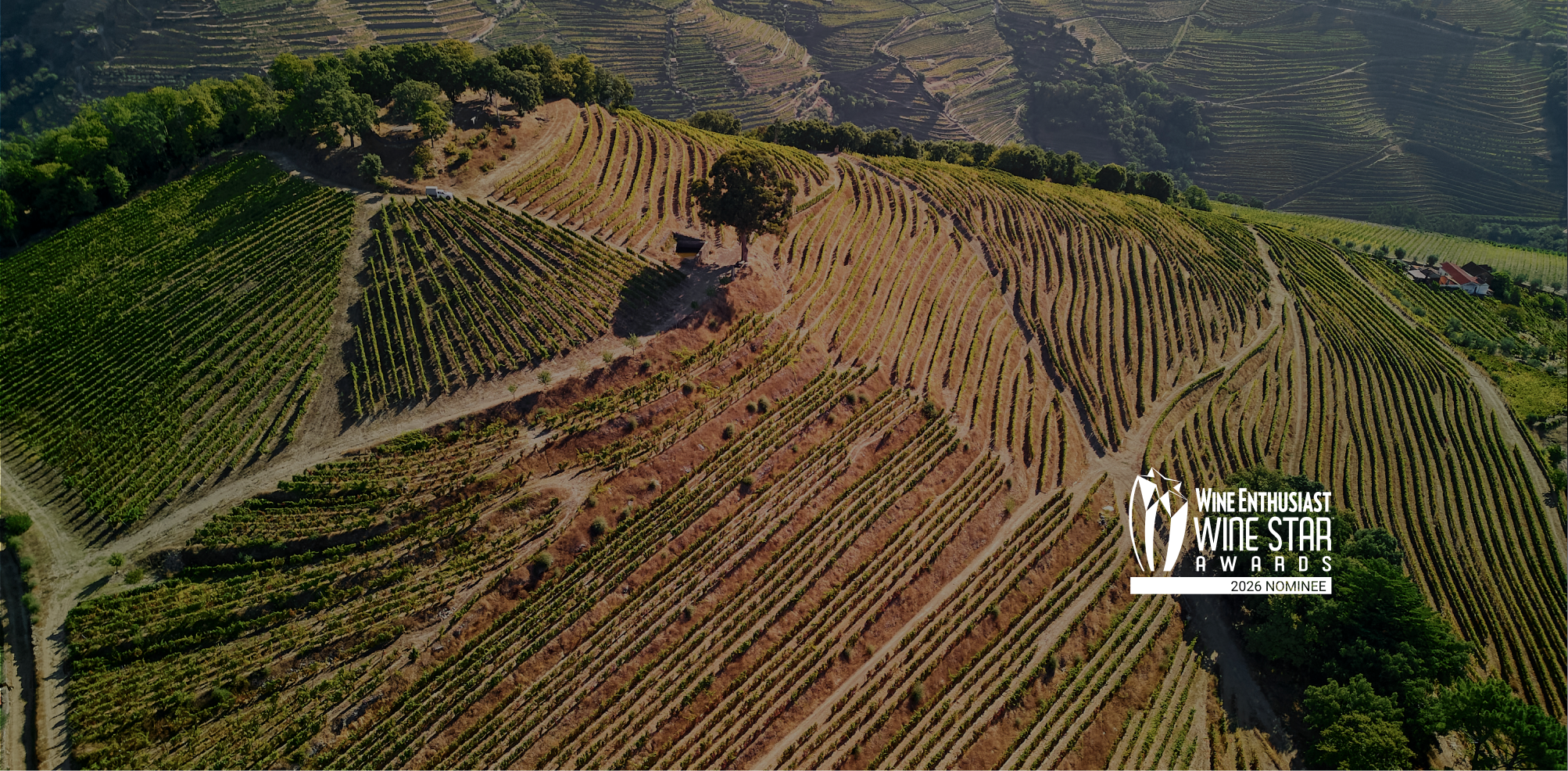 WineStone Group and Ravasqueira Nominated for the 2026 Wine Star Awards