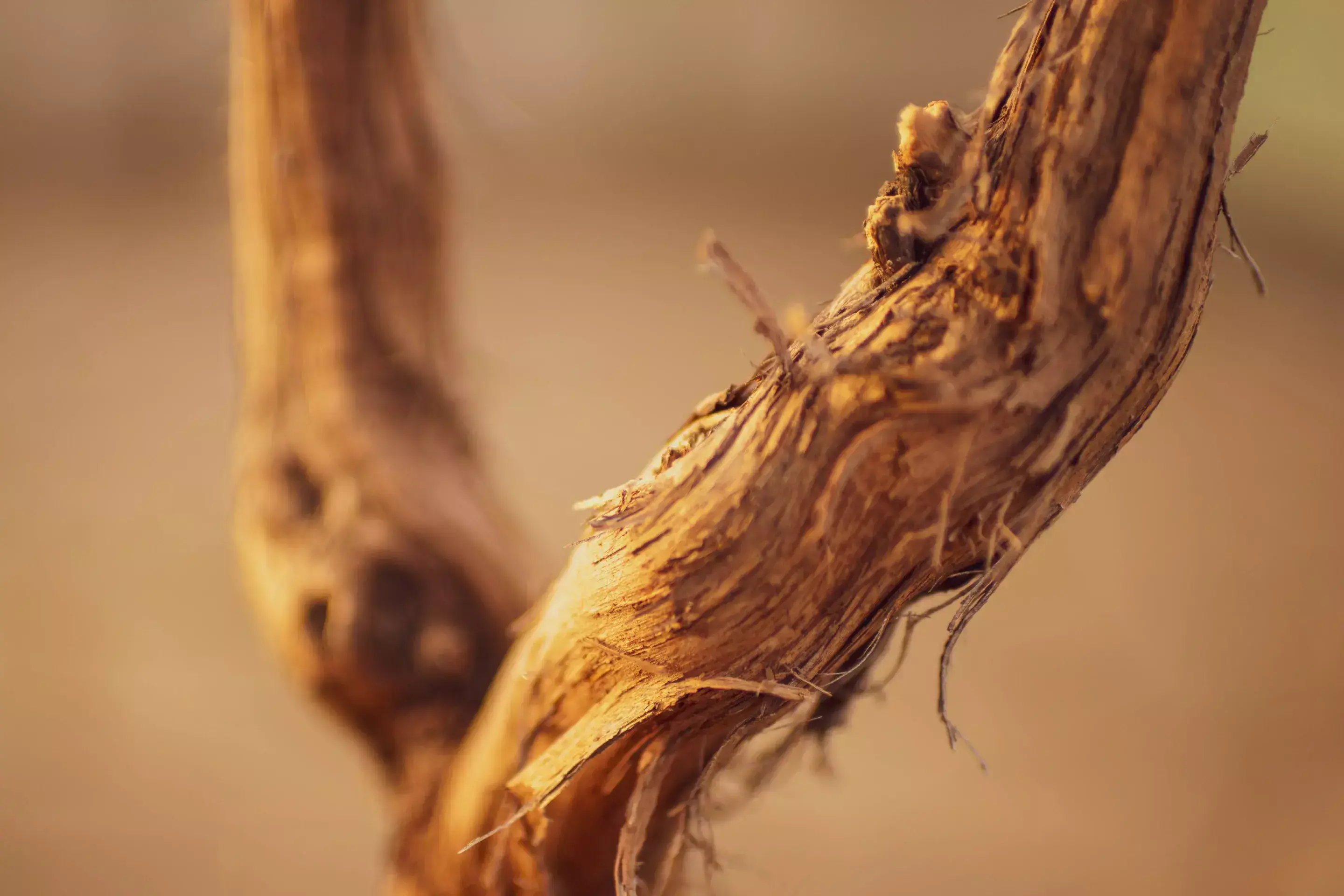 Sobre nós | WineStone Group
